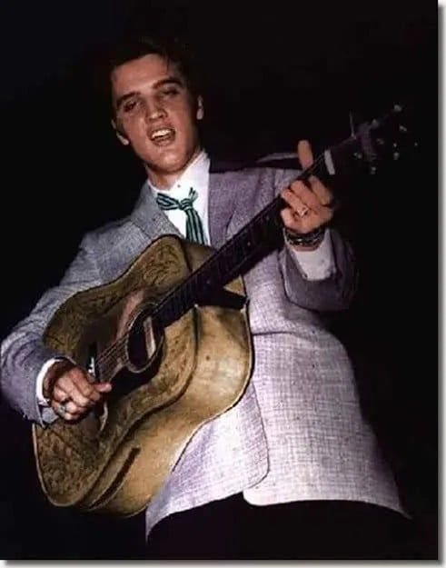 Elvis Presley (Too Much Era)